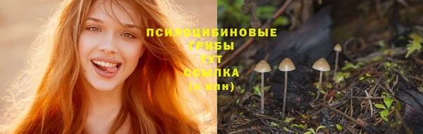 mdpv Нязепетровск