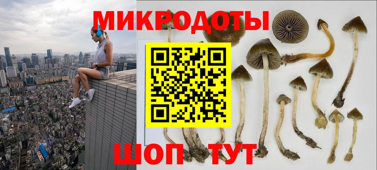 Псилоцибиновые грибы MAGIC MUSHROOMS  Псилоцибиновые грибы Psilocybe  Курган  Вход с VPN 