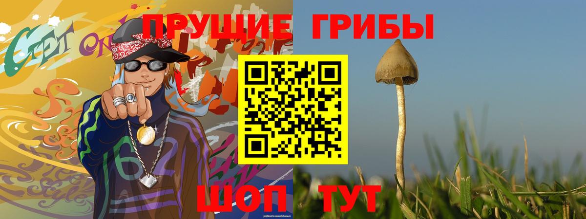 Псилоцибиновые грибы GOLDEN TEACHER Курган